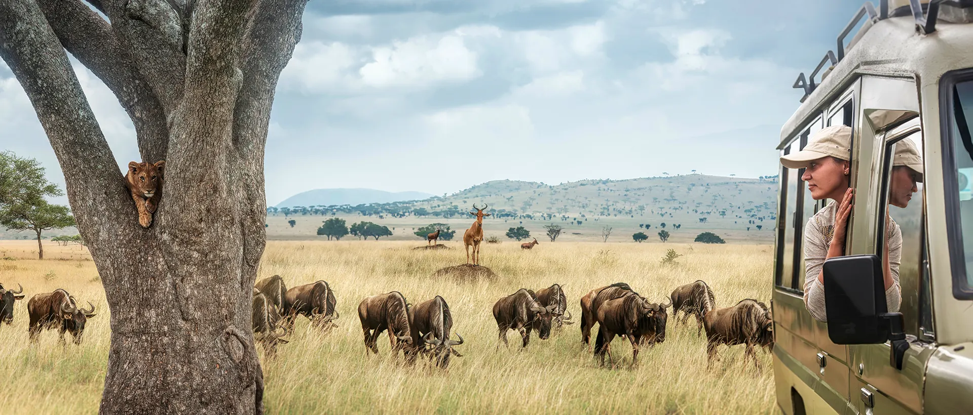 Le bonheur des passionnes de voyages et safari africain
